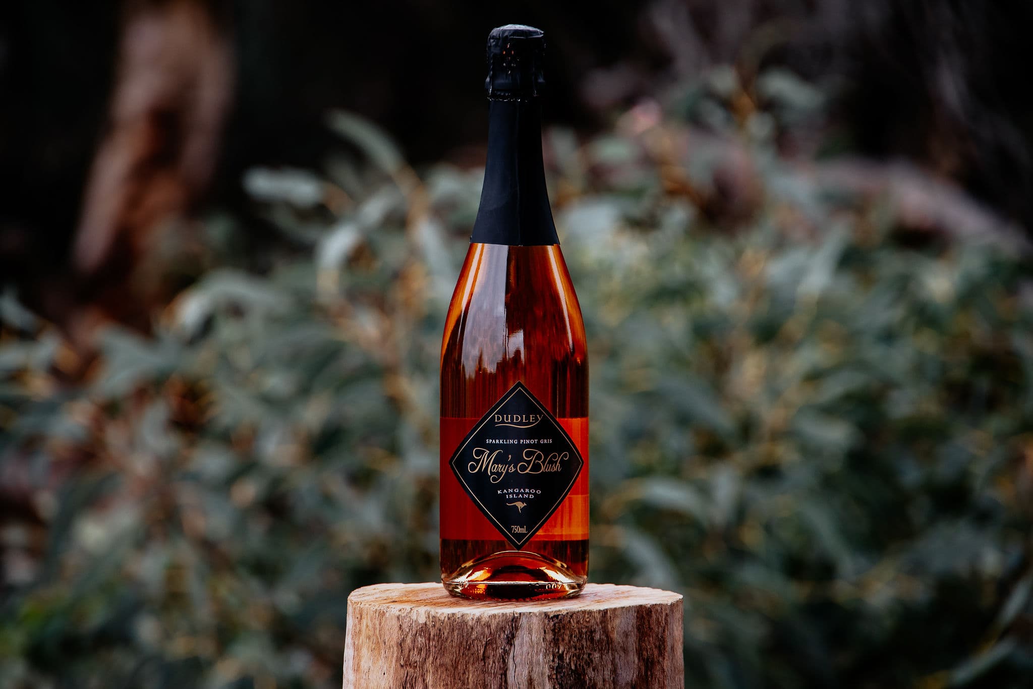 Sparkling Rosé - Mary's Blush - Dudley Wines
