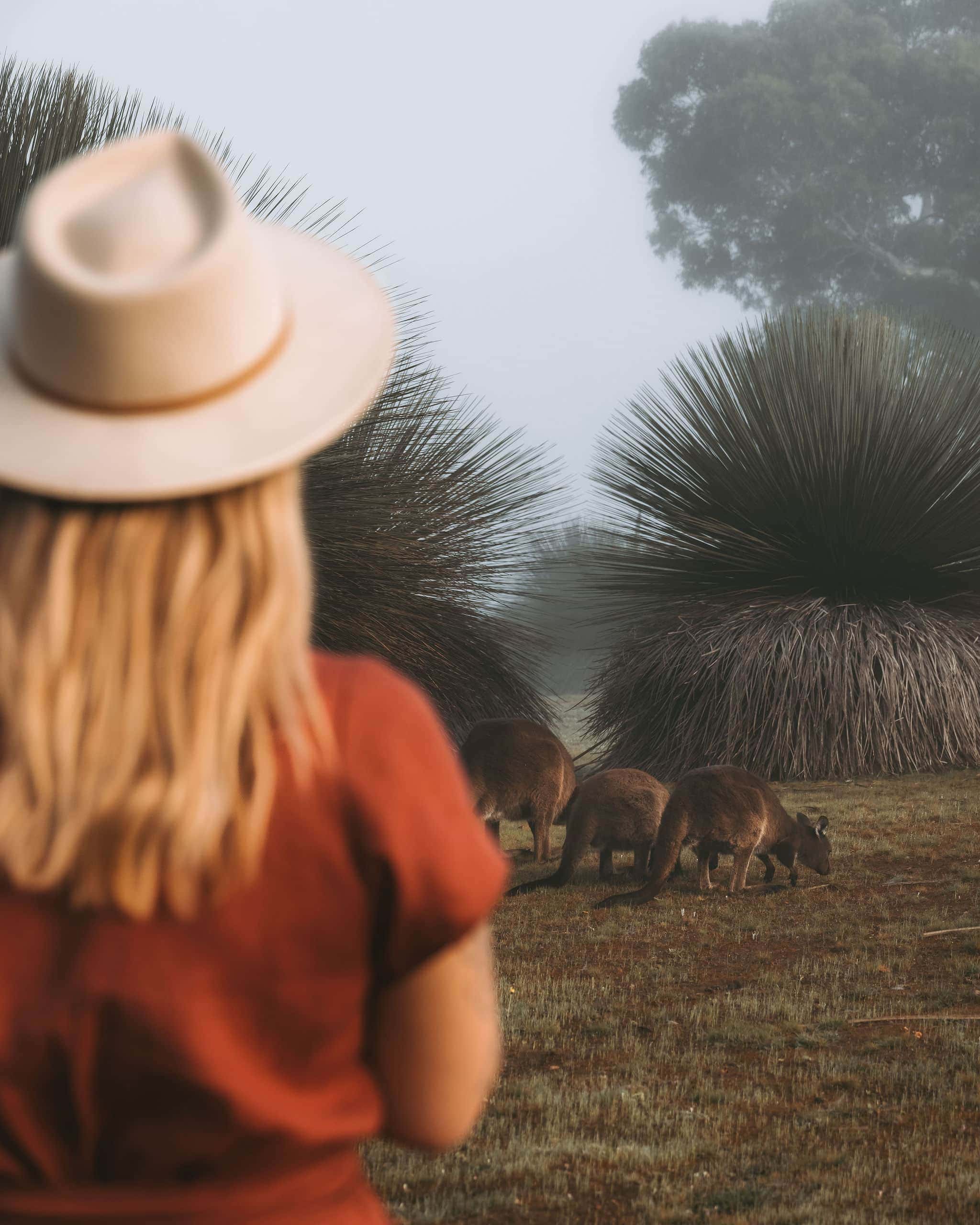 eco luxury accommodation in kangaroo island